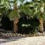 7 bedroom detached house for sale tsada paphos 1354290 thumbnail 5599457
