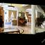 7 bedroom detached house for sale tsada paphos 1354290 thumbnail 5599526