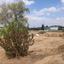 plot for sale pano lakatamia nicosia 1226290 thumbnail 5611058