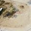 plot for sale tseri nicosia 7842290 thumbnail 14313823