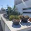 4 bedroom detached house for sale pano lakatamia nicosia 1940390 thumbnail 9722786