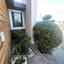 4 bedroom detached house for sale pano lakatamia nicosia 1940390 thumbnail 9722817