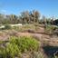 6 bedroom bungalow for sale sea caves peyia paphos 7737390 thumbnail 10189406