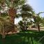 6 bedroom detached house for sale kato paphos universal paphos 1898390 thumbnail 14215548