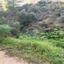 land for sale eptagoneia limassol 1503390 thumbnail 14116138