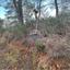 land for sale eptagoneia limassol 1503390 thumbnail 14116142