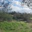 land for sale pigenia nicosia 8040390 thumbnail 15931518