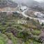 plot for sale agros limassol 8972490 thumbnail 17894018