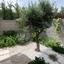 5 bedroom detached house for sale marathounta paphos 8913590 thumbnail 17521183