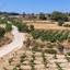 land for sale pano akourdalia paphos 7703590 thumbnail 16700716