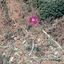 land for sale pigenia nicosia 1057590 thumbnail 2810434