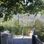 2 Bedroom Detached house for sale in Prodromos, Limassol thumbnail 16259681