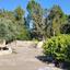 3 bedroom detached house for sale anglisides larnaca 8743690 thumbnail 16414625