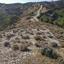 land for sale agios therapon limassol 8630790 thumbnail 15874108