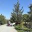 land for sale aradippou larnaca 1707790 thumbnail 10789396