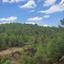 land for sale kapedes nicosia 945790 thumbnail 17253638