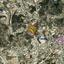 land for sale palodeia limassol 8473890 thumbnail 15230389