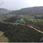 land for sale pissouri limassol 8224890 thumbnail 13757825