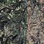 land for sale theletra paphos 8664890 thumbnail 17009080