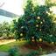 5 bedroom detached house for sale mouttagiaka limassol 1075990 thumbnail 5429376