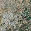 land for sale dali nicosia 1341990 thumbnail 3389540