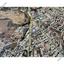plot for sale latsia nicosia 1580990 thumbnail 14173415
