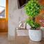 studio residential development for sale lofou limassol 1795990 thumbnail 5961600