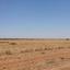 land for sale avgorou famagusta 823001 thumbnail 15602113