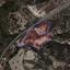 land for sale monagroulli limassol 8810001 thumbnail 16825222