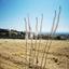 plot for sale agia fyla limassol 7661001 thumbnail 10060447