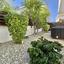 1 bedroom ground floor apartment for rent kato paphos universal paphos 8898101 thumbnail 17548401