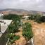 3 bedroom detached house for sale ineia paphos 1709101 thumbnail 12584336