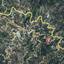 land for sale agros limassol 8376101 thumbnail 14615808