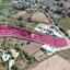 land for sale drousia paphos 8396101 thumbnail 14823649