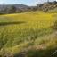 land for sale monagroulli limassol 682101 thumbnail 406949