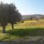 land for sale monagroulli limassol 682101 thumbnail 406950