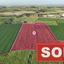 land sold avgorou famagusta 1070101 thumbnail 1221319