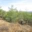plot for sale kornos larnaca 831101 thumbnail 13826750