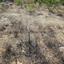 plot for sale ormideia larnaca 7543101 thumbnail 9478881