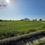 plot for sale pyla larnaca 8307101 thumbnail 14112279