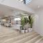 studio commercial building for sale petrou kai pavlou limassol 8081101 thumbnail 17424729