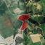 land for sale agios theodoros larnacas larnaca 7867201 thumbnail 10905932