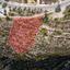 land for sale tsada paphos 823201 thumbnail 16009415