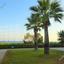 2 bedroom apartment for rent dekeleia larnaca 8810301 thumbnail 16831614