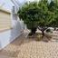 3 bedroom bungalow for sale paramytha limassol 8522301 thumbnail 15406436