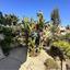 4 bedroom detached house for sale larnaca municipality larnaca 8926301 thumbnail 17614055