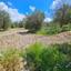 land for sale drynia paphos 7839401 thumbnail 15596562