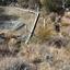 plot for sale monagroulli limassol 8791401 thumbnail 16675110