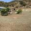 plot for sale monagroulli limassol 8791401 thumbnail 16675143