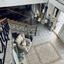 4 bedroom detached house for sale ypsonas limassol 8737501 thumbnail 16355568